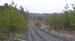 055_TZ60_P1080815_cr