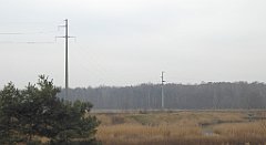 063_TZ60_P1080823_cr