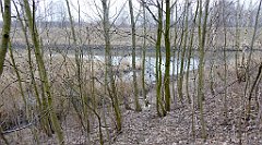 070_TZ60_P1080830_cr