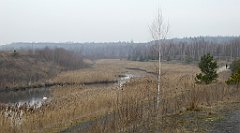 130_TZ60_P1080879_cr