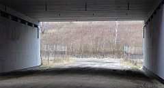 205_TZ60_P1080904_cr