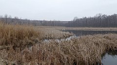 249_TZ60_P1080930_cr