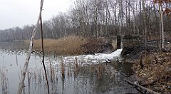 274_TZ60_P1080937_cr