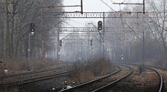 364_TZ60_P1080981_cr