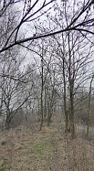 394_TZ60_P1090001_cr