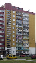 449_TZ60_P1090030_cr