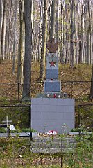 069_TZ60_P1090806_cr