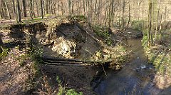 162_TZ60_P1090869_cr