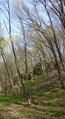 188_TZ60_P1090888_cr