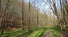 189_TZ60_P1090889_cr