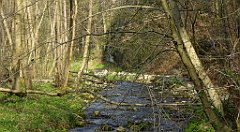 192_TZ60_P1090892_cr