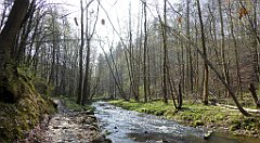 195_TZ60_P1090895_cr