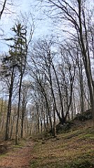 218_TZ60_P1090918_cr