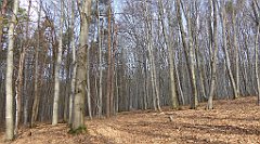 234_TZ60_P1090932_cr