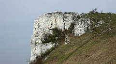 274_TZ60_P1090964_cr