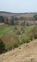 275_TZ60_P1090965_cr