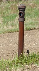 335_TZ60_P1100044_cr