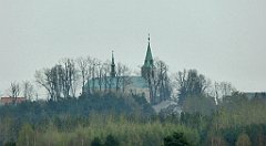 349_TZ60_P1100057_cr