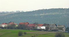 384_TZ60_P1100095_cr