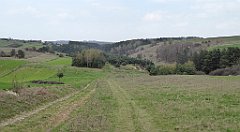 390_TZ60_P1100103_cr