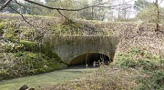 401_TZ60_P1100110_cr