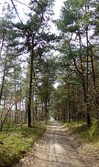 405_TZ60_P1100111_cr