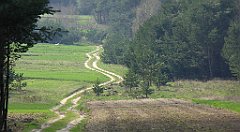 409_TZ60_P1100115_cr