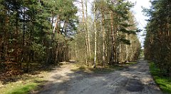 428_TZ60_P1100136_cr