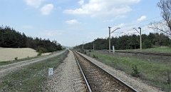 437_TZ60_P1100145_cr