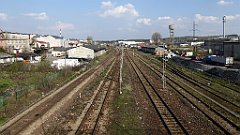 447_TZ60_P1100155_cr