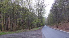 007_TZ60_P1100169_cr