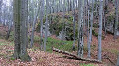 013_TZ60_P1100174_cr