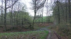 029_TZ60_P1100184_cr