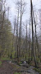 048_TZ60_P1100202_cr