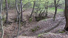 074_TZ60_P1100222_cr