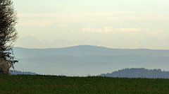 079_TZ60_P1100227_cr