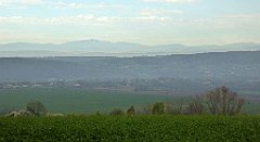 106_TZ60_P1100271_cr