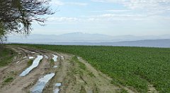 131_TZ60_P1100308_cr