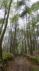 140_TZ60_P1100314_cr