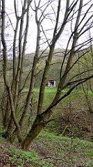 164_TZ60_P1100326_cr