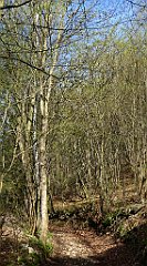 193_TZ60_P1100348_cr