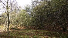 208_TZ60_P1100353_cr