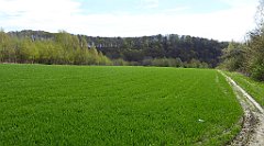 215_TZ60_P1100360_cr