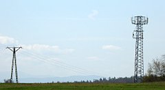 237_TZ60_P1100390_cr