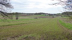 243_TZ60_P1100396_cr