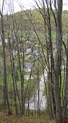 252_TZ60_P1100403_cr