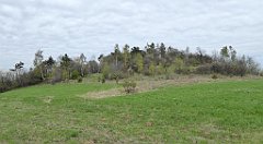 285_TZ60_P1100434_cr