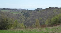 287_TZ60_P1100436_cr