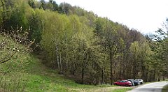 295_TZ60_P1100443_cr