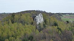 330_TZ60_P1100482_cr